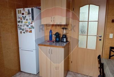 Apartament cu 2 camere semidecomandat, mobilat în Brazda lui Novac - 7