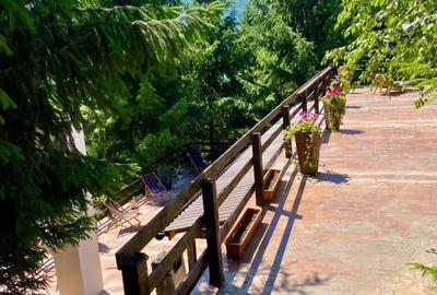 Casă cu 3 camere cu Teren 1800 Mp în Colibița - 10