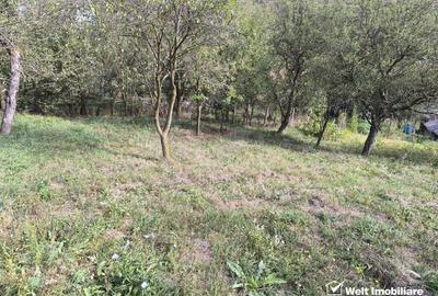 Casa 3 camere, 1398 mp teren, zona Manastirea Floresti - 3
