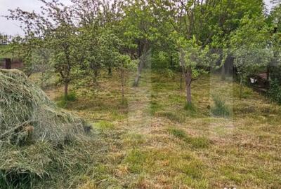 Casă cu 3 camere cu Teren 600 Mp în Bodoc - 1