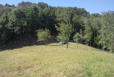 Teren livadă cu panoramă superbă Dealul Malului pentru casă sau cabană - 13
