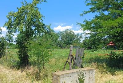Teren agricol intravilan de 1800 mp, în Fântâna Doamnei - 4
