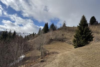 Teren de 5000 mp, în Măguri - 6