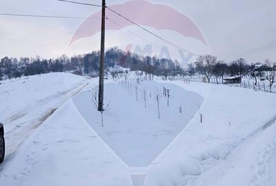 Teren de 4301 mp, în Bârsana - 3