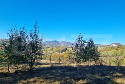 Teren pentru casute de vacanta - Poiana Marului - vedere la - 7