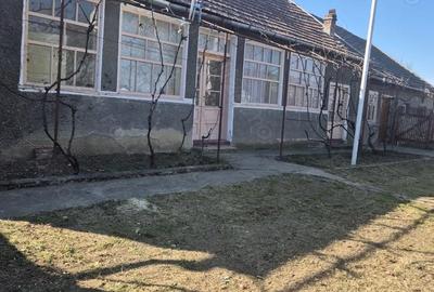 Casă cu 3 camere cu Teren 2880 Mp în Adea - 1