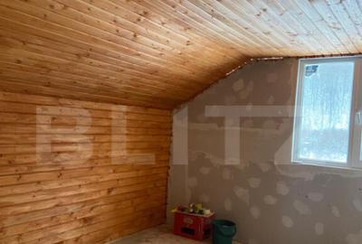 Cabana la munte in inima padurii la 15 km de Bra?ov, zon - 1