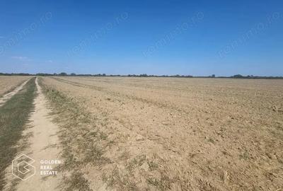 Teren Mosnita Noua, 11600 mp - 1