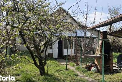 Casă cu Teren 600 Mp în Tomești - 2