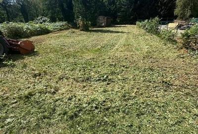 Teren intravilan de vanzare 500 mp Valea Avrigului - 3