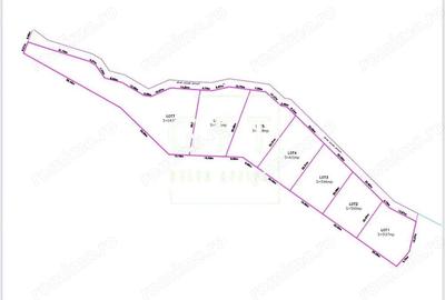 Teren de 6000 mp, în Colibița - 5