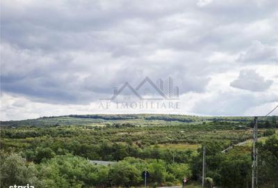 Spațiu comercial, în Goruni - 1