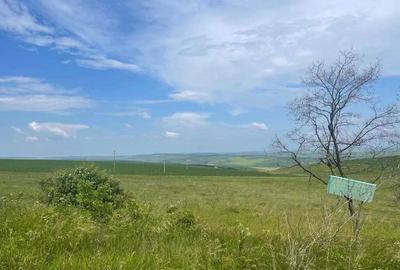 Teren de 10000 mp, în Central - 1