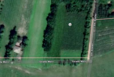 Teren intravilan deosebit - Roma, Botosani - 7