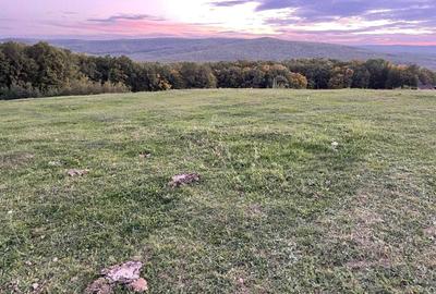 Spațiu comercial, în Pietrăria - 1