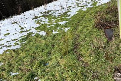 Casă cu 3 camere cu Teren 657 Mp în Fierbinți - 2