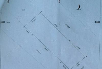 Teren de 2240 mp, în Pruni - 5
