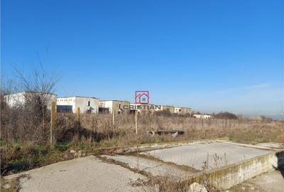 Spațiu comercial, de 4,600 mp, în Butimanu - 6