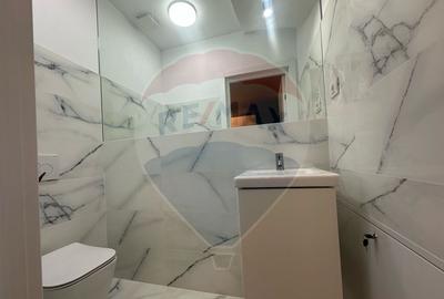 Duplex de inchiriat Voluntari - 28