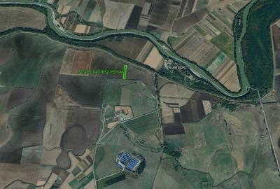 Vand teren arabil extravilan in Periam - 2