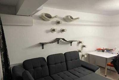 Apartament cu 2 camere semidecomandat în Central - 8