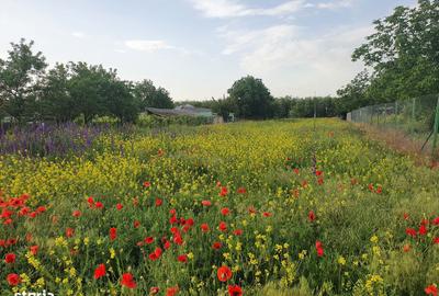 Teren de 3000 mp, în Dorobanțu - 6