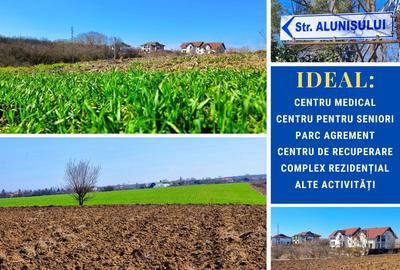 Teren intravilan 13175mp utilitati Ciolpani Strada Alunisului - Padurea Snagov - 1