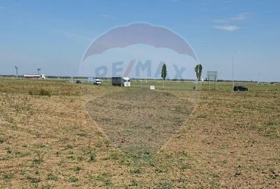 Teren de 10164 mp, în Vadu Anei - 4