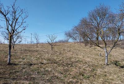 Spațiu comercial, în Aiton - 4