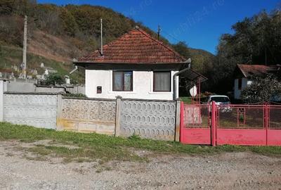 Casă cu 4 camere în Barbura - 6