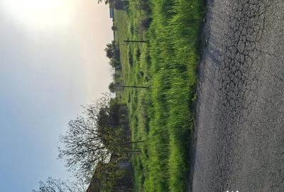 Teren de 955 mp, în Sânmihaiu German - 4