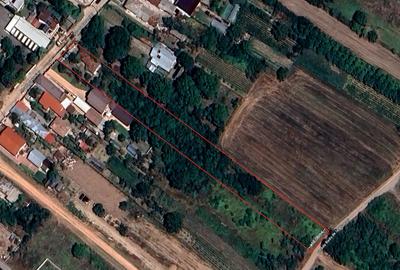 TEREN CU DESCHIDERE DUBLA IN ZONA LINISTITA DIN AFUMATI - 2