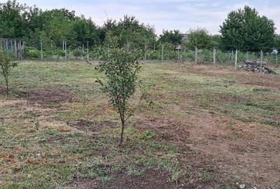 Teren intravilan 454 mp Valea Lupului, str. Macri?ului - 6