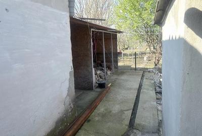 Casă cu 5 camere cu Teren 275 Mp în Pisc - 3
