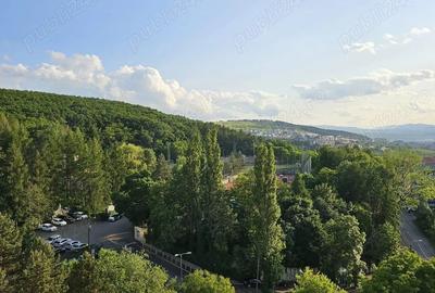 Apartament cu 2 camere decomandat în Mănăștur - 3
