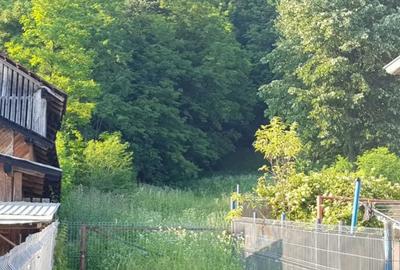 Teren de 7000 mp, în Ștubeie Tisa - 14