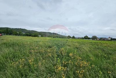 Teren 1,495mp Dobreni / Strada Parau Almas - 1