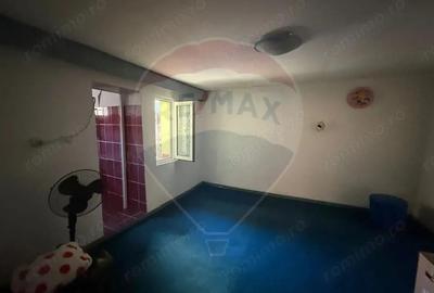 Casa de vanzare in Constanta- Soseaua din Vii - 11