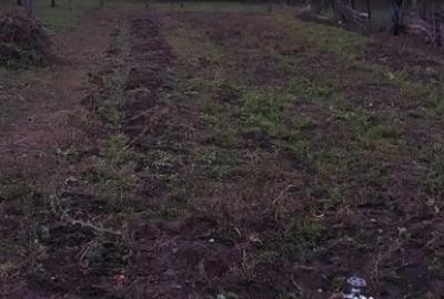 Casă cu 4 camere cu Teren 1300 Mp în Cuciulata - 3