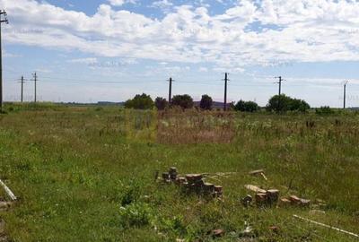 Teren aproape de Bucuresti langa padure între case - 1