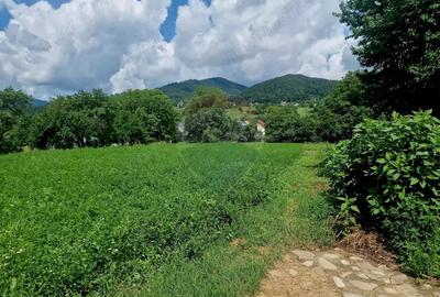 Teren 2743 mp, 2 fronturi, asfalt Vii?oara, Neam? - 17