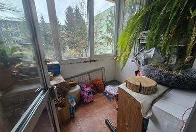 Apartament de vanzare cu 2 camere in Brasov - 3