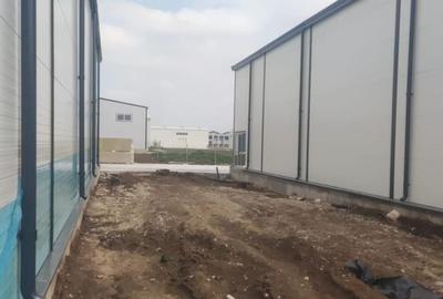 2 hale noi 2025 Afumati- Moara Domneasca - 3