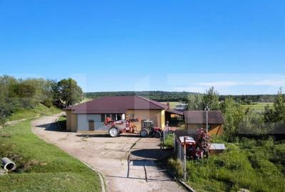 Oportunitate! Sala de evenimente, benzinarie si spalatorie a - 2