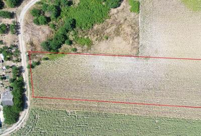 Darza, teren intravilan, 1ha langa case, deschidere 22 m - 3