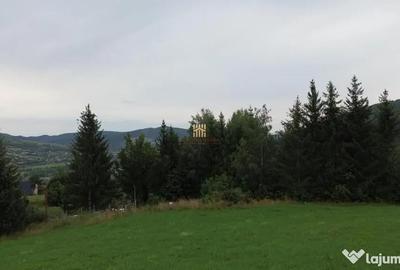 Teren de 5023 mp, în Voroneț - 15