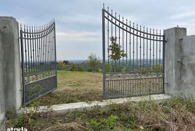 Teren de 11600 mp, în Viile Satu Mare - 5