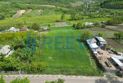 Teren de vanzare, Sat Valea Mare, Com. Ro?iori, Bacau - 3