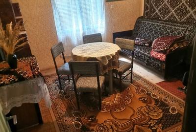 Casă cu 4 camere cu Teren 1300 Mp în Baia de Fier - 4