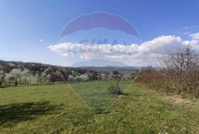 Teren de 1600 mp, în Cărbunari - 6